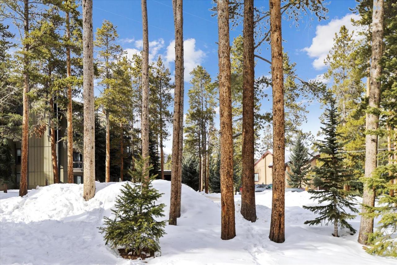 Park Forest Estates Breckenridge Esterno foto